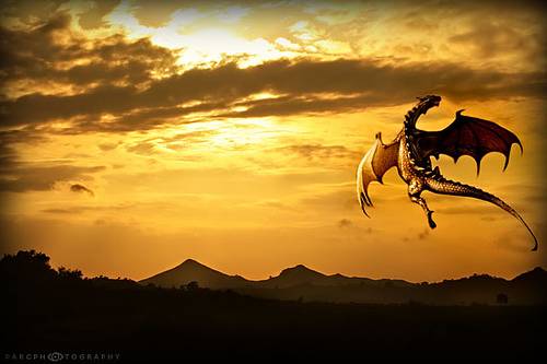 dragon