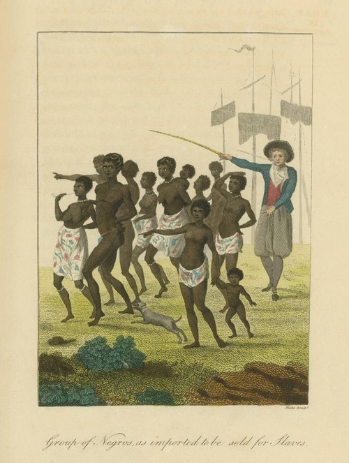 Group+of+Negros,+as+imported+to+be+sold+for+Slaves