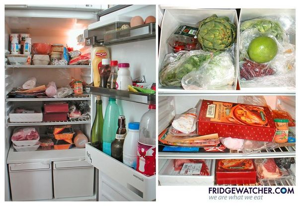 fridgewatcher_0116