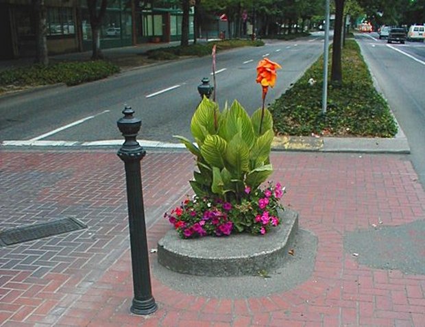 El jardín más pequeño del mundo image 226 El jardín más pequeño del mundo