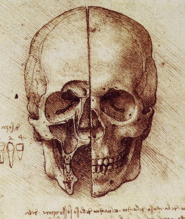 20081121113644 Los dibujos de Leonardo da Vinci